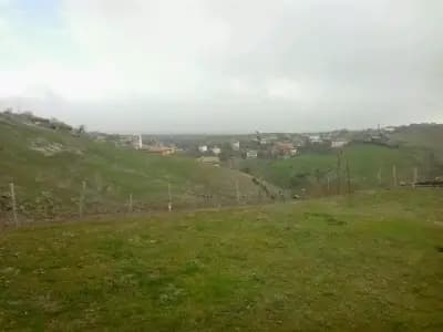 Кметство Комунига