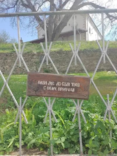 Кметство Свежен