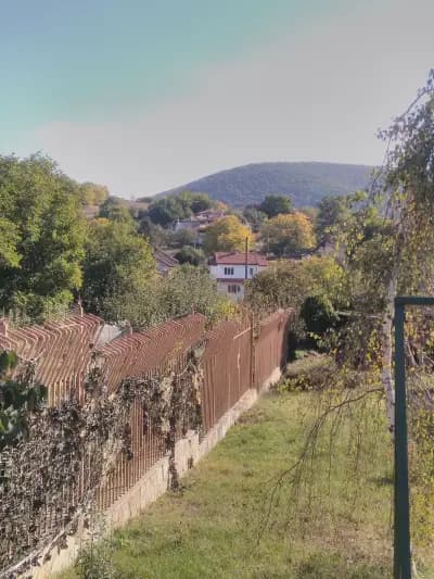 Кметство Сулица