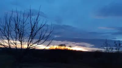 Кметство Борово