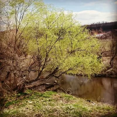 Кметство Езерово