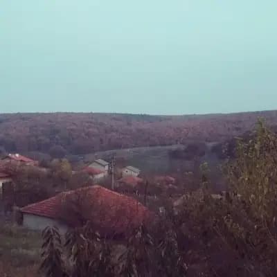 Кметство Светлина