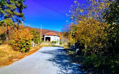 КМЕТСТВО ДАМЯНОВО