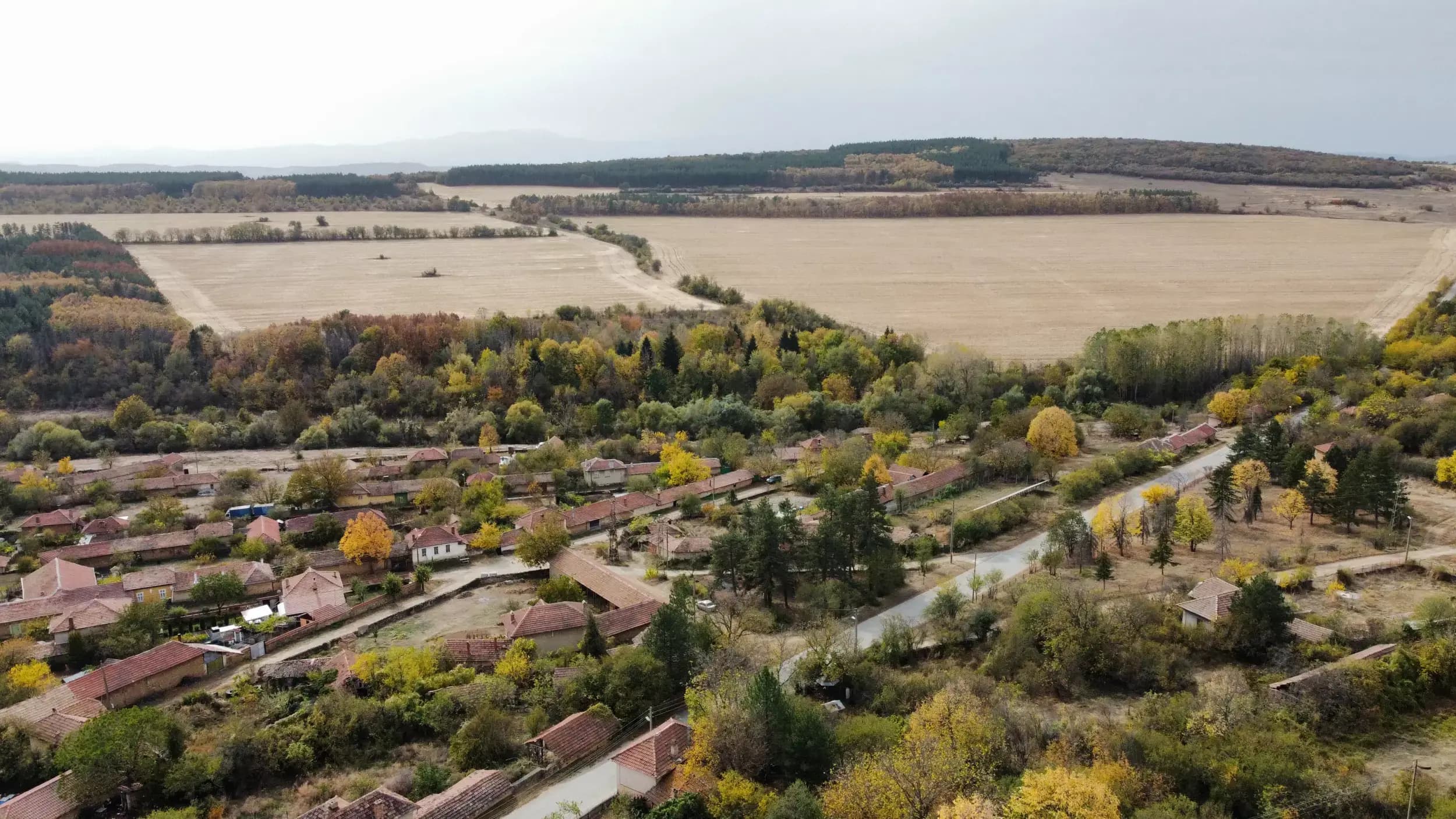 Кметство Коевци