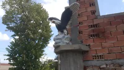 Кметство Коевци