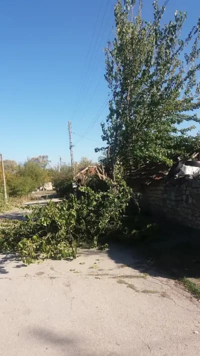 Кметство Каменяк