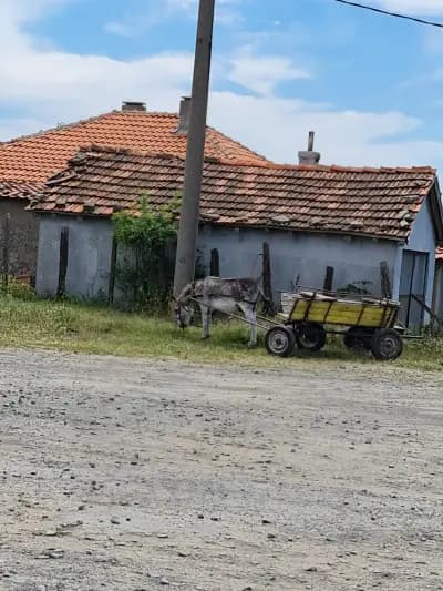 Кметство Козичино