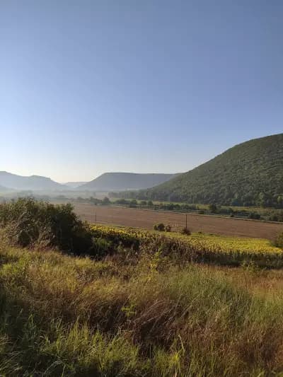 Кметство Невша