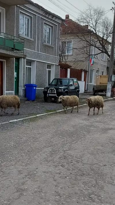 Кметство Невша