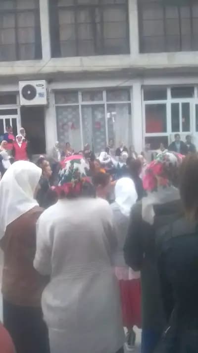 Кметство Рибново
