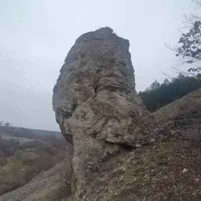 Кметство Голям Върбовник