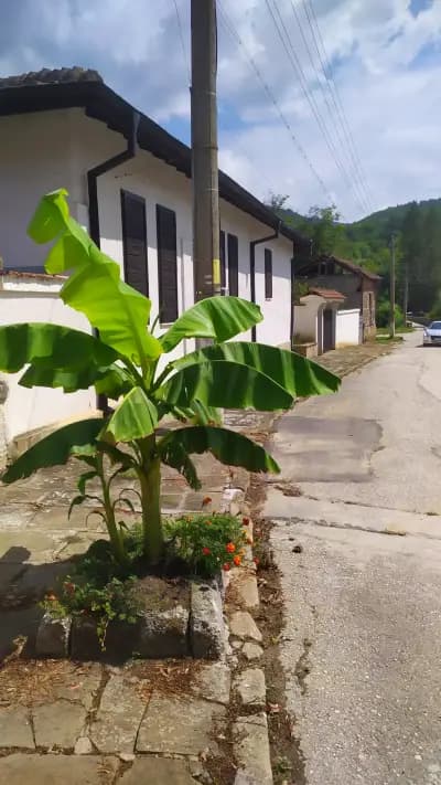 КМЕТСТВО БОЖЕНИЦА