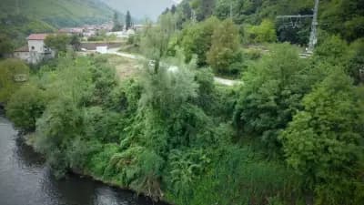 Кметство Реброво