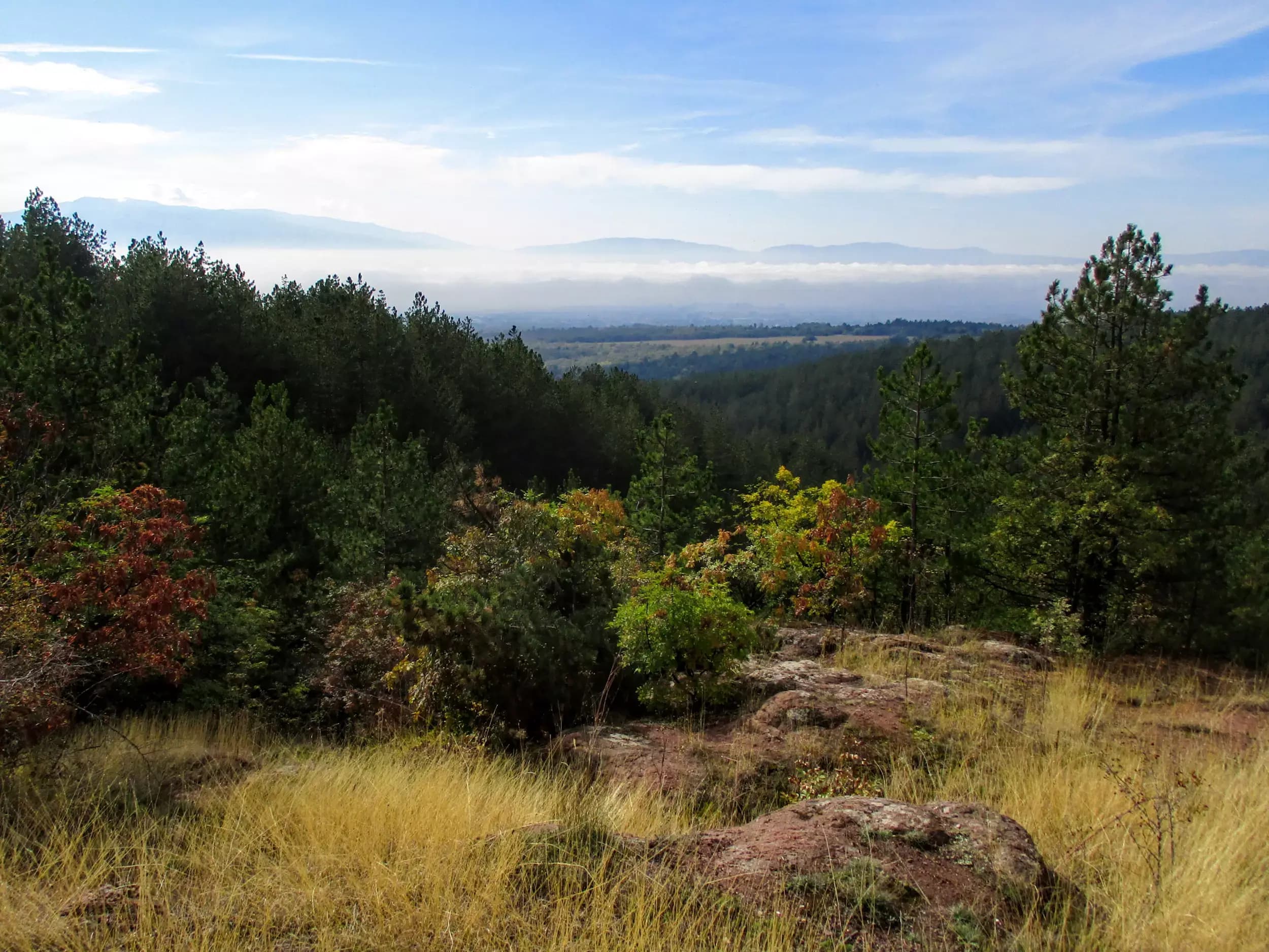 Кметство Кътина, НЧ”Просвета - 1929” и ПС1276