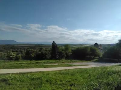 Кметство Ракево