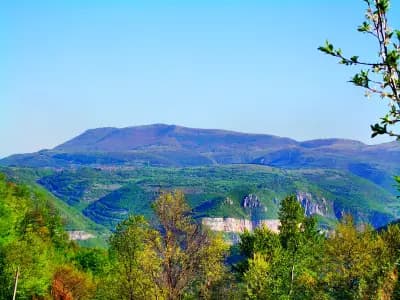 Кметство Лакатник