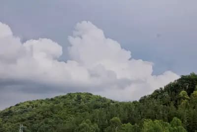 КМЕТСТВО КАЛОТИНА 🇧🇬