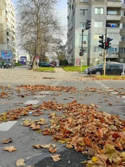 PALMS BET Варна, бул. Цар Освободител