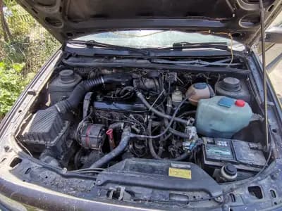 Автоморга Донино