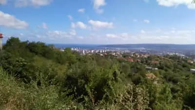 ОРЛИНКАР