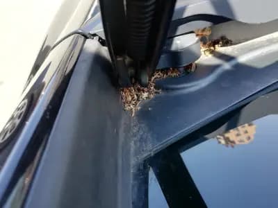Автомивка High Park керамика и полиране на автомобил
