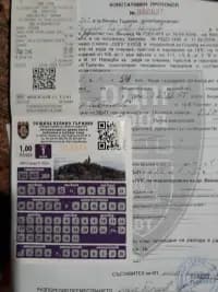 Веселина Владимирова