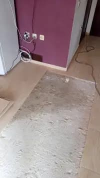 Detelina Goteva