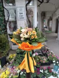 Ирена Гагова