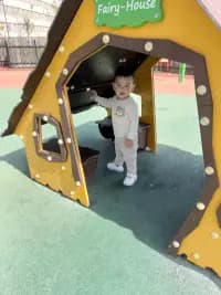 пламен огнянов