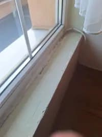 валя рангелова