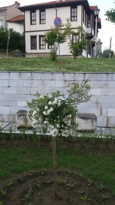 Хотел Тракия в Ивайловград