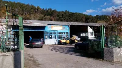 Авто Експерт