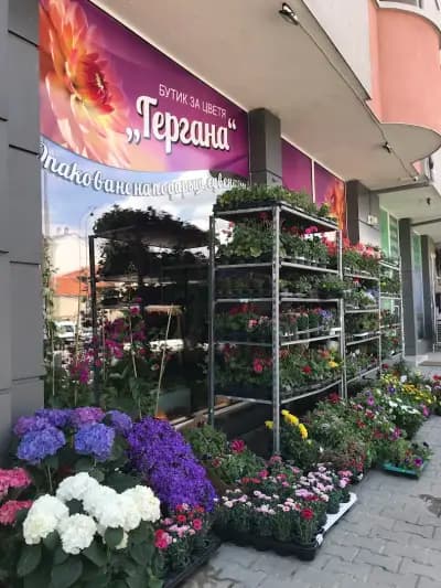 Бутик за цветя "Гергана" Магазин за цветя