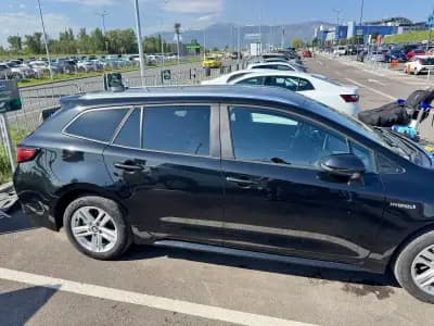 Alamo Rent A Car