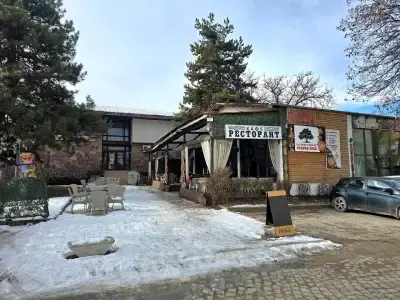 Старият орех