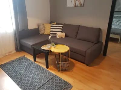 Radomir Downtown Apartments
