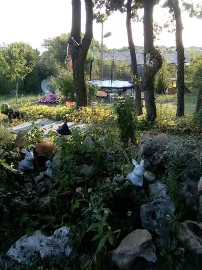 Вила „Акула“, Парк Росенец