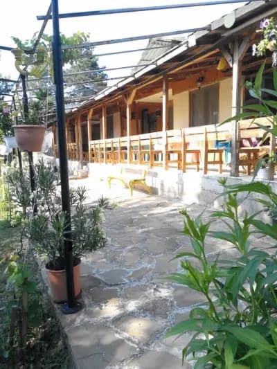 Вила „Акула“, Парк Росенец