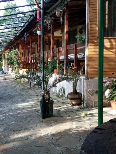 Вила „Акула“, Парк Росенец