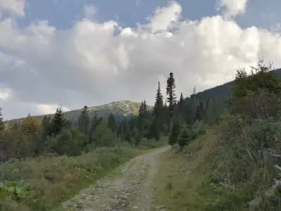 Хижа Ком стара
