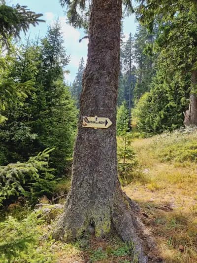 Хижа Ком стара