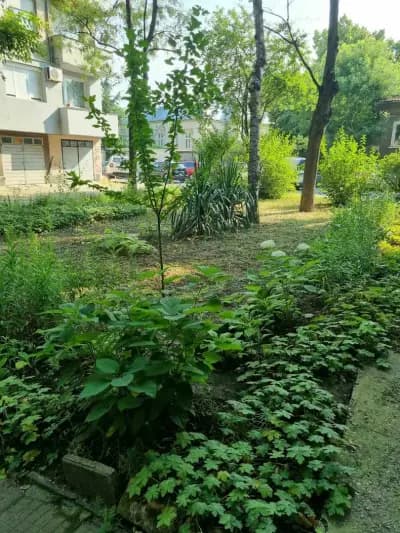 Teodora Apartment