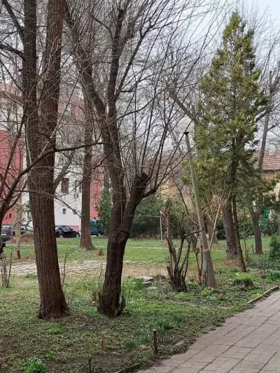 „Парк апартамент“