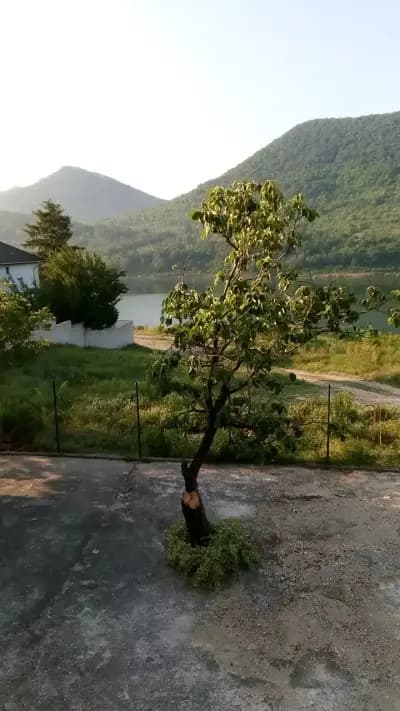 Къща за гости Анелия
