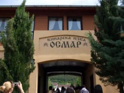 Винарска изба Осмар Wine cellar Osmar Винарска къща Осмар
