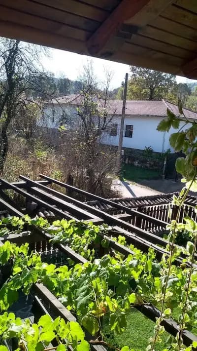Катрафиловата къща