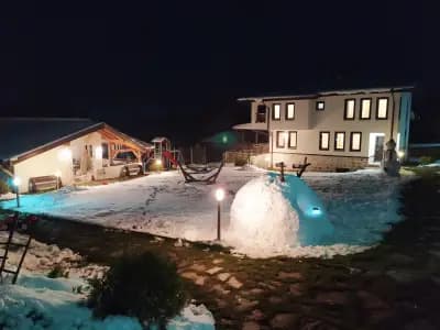 Вила Борика