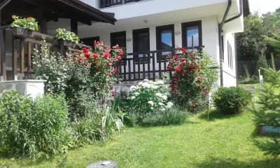 Вила Борика
