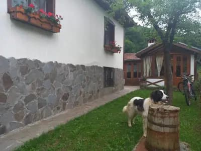 Вила Милушев