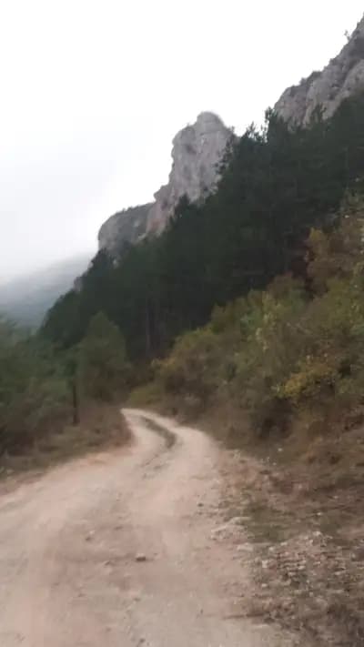 Къща „Зелениград“